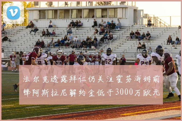 法尔克透露拜仁仍关注霍芬海姆前锋阿斯拉尼解约金低于3000万欧元
